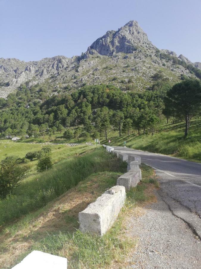 Vivelorural Casa Tassone, Grazalema - Cadiz Villa Dış mekan fotoğraf